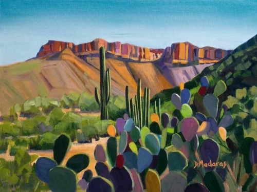 ARAVAIPA CANYON2 by Diana Madaras