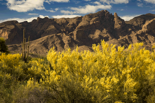 FINGER ROCK CANYON by Rocky LaRose