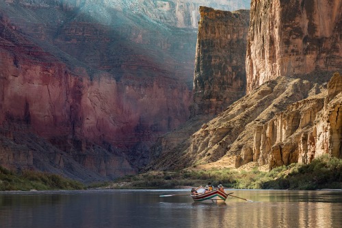 GRAND CANYON by Rocky LaRose