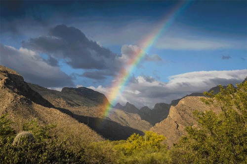 PIMA CANYON RAINBOW by Rocky LaRose